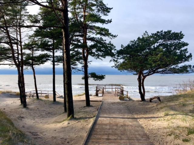Elegancija * Palanga