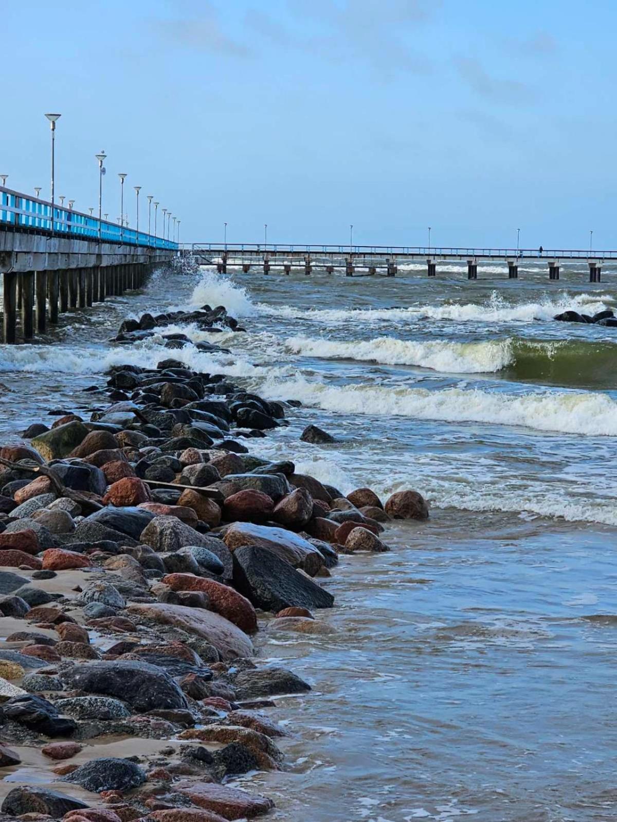Elegancija * Palanga